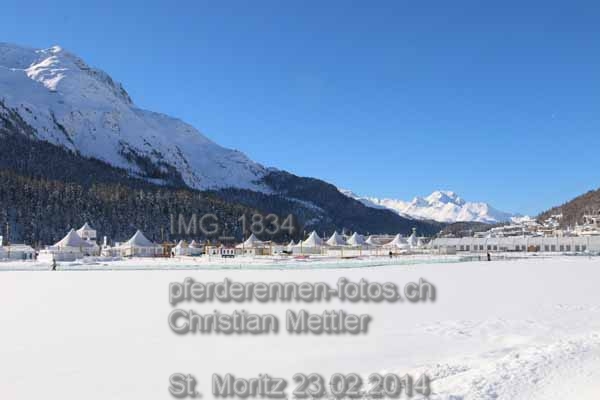 IMG 1834 prot